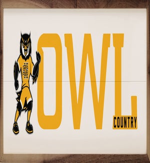 Logo Country Kennesaw State University